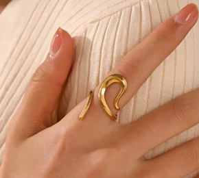anillo norma